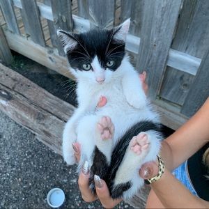 Meet your Posher, Jolie